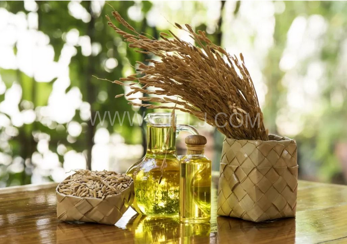 米糠油精煉設(shè)備,企鵝機(jī)械不斷創(chuàng)新提升工藝效果(圖1) 米糠油精煉設(shè)備,企鵝機(jī)械不斷創(chuàng)新提升工藝效果(圖1)